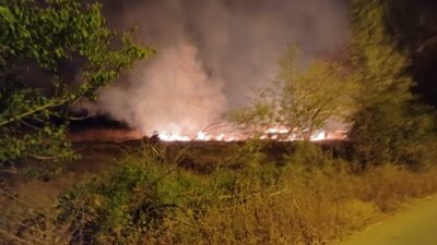 Yerköy Kaymakamlığı, mevsim normallerinin üzerinde seyreden sıcaklıklar ve meteorolojik veriler