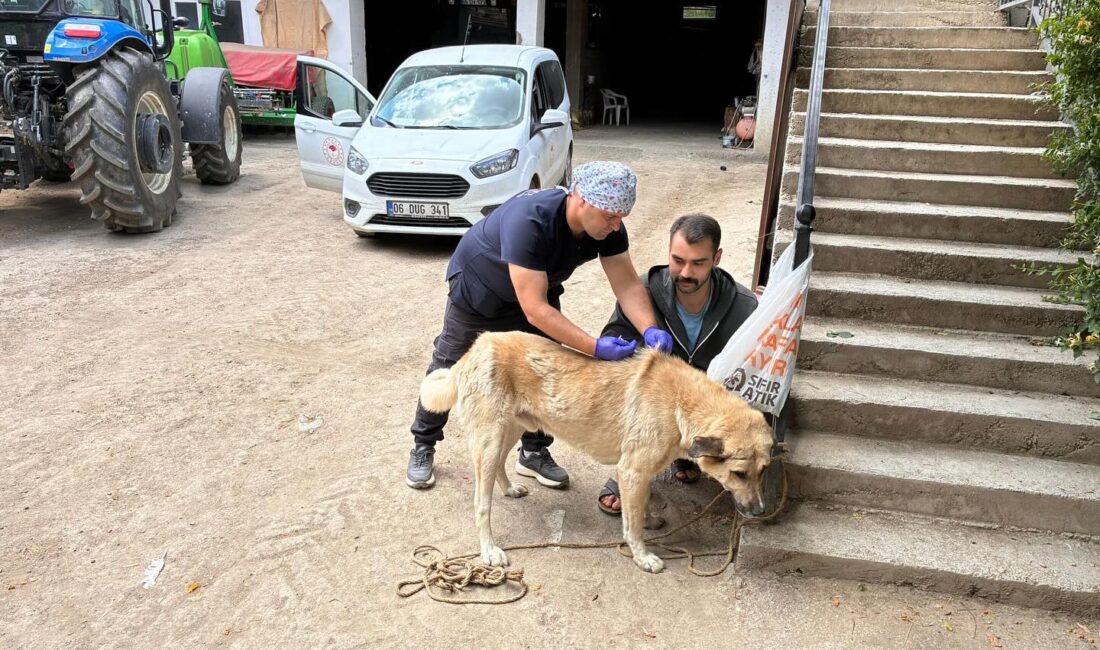 Yerköy Kaymakamlığı tarafından yapılan