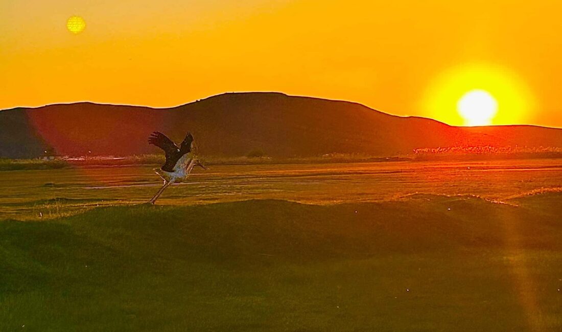 Yozgat’ın Yerköy ilçesine bağlı Sekili Köyü, bu kez doğanın büyüleyici