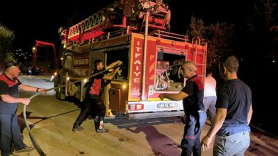 Yozgat’ın Yerköy ilçesi Gençoğlu Mahallesi’nde, Şehitlik yolu üzerinde bulunan ağaçlık