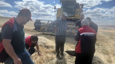 Yerköy İlçe Tarım ve Orman Müdürlüğü tarafından yapılan açıklamaya göre,