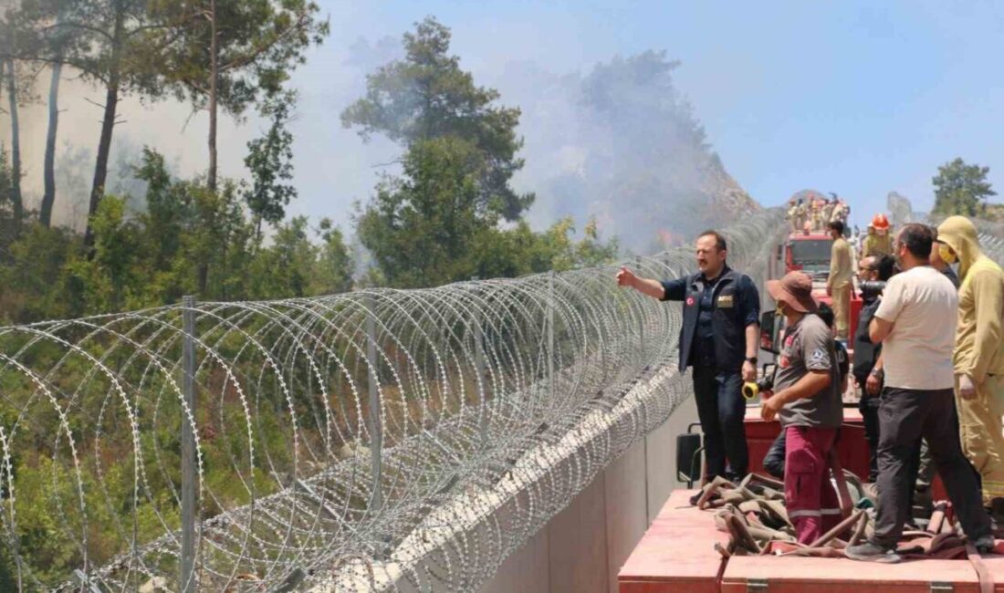 Hatay'ın Yayladağı sınır bölgesindeki yangınlara AFAD tarafından yapılan müdahalede, 734