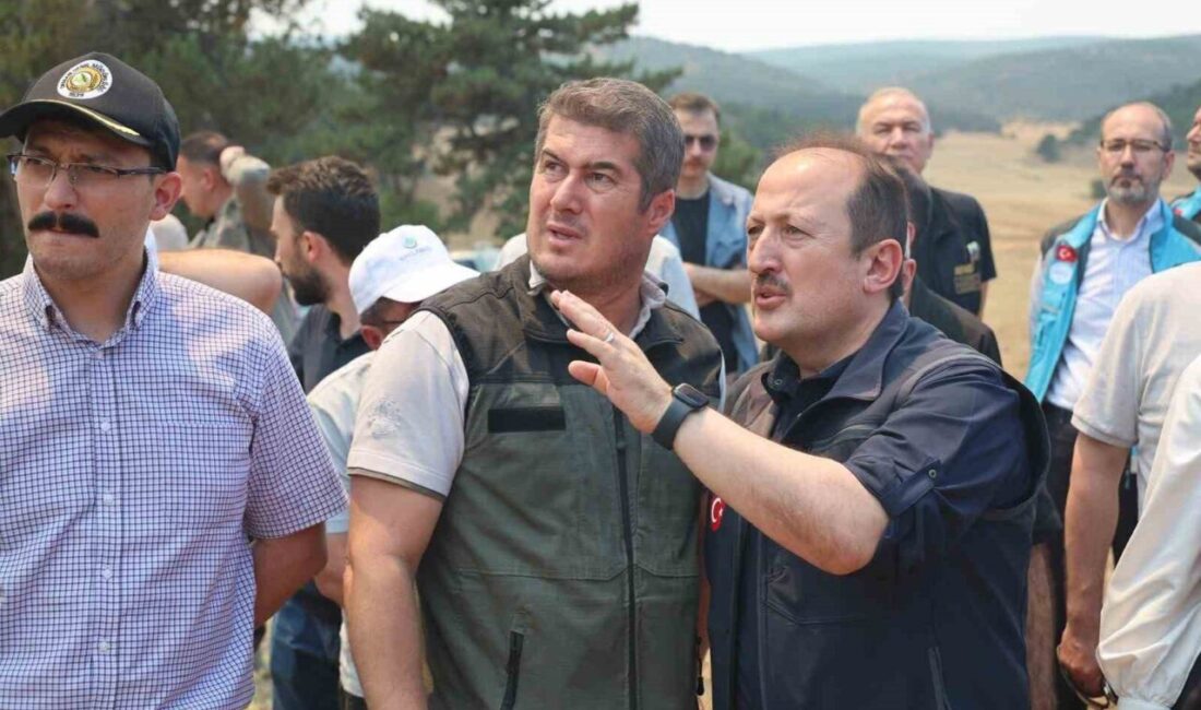 AFAD, yangınlarla mücadelede çok sayıda personel ve araçla çalışmalarını sürdürürken,