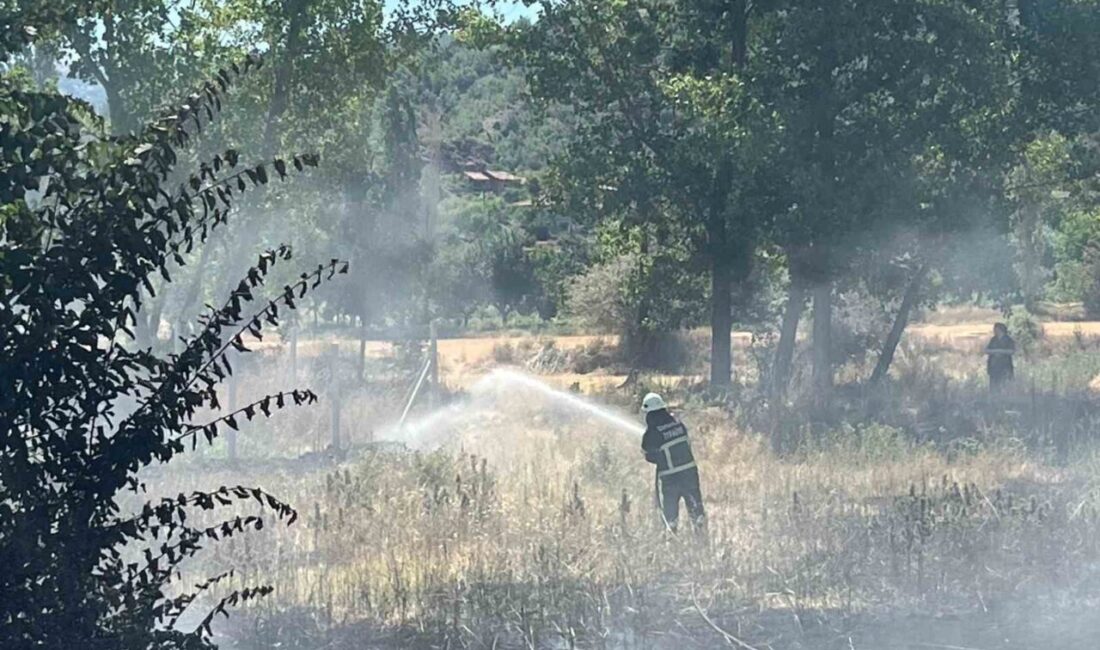 Akaryakıt istasyonu yanında çıkan örtü yangını büyümeden söndürüldü Çorum'un Osmancık ilçesinde çıkan