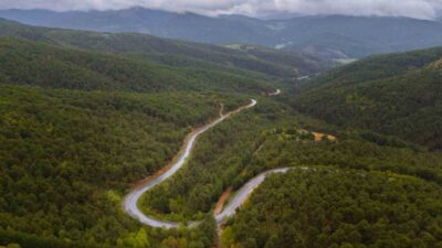 Akdağmadeni Belediye Başkanı Dr. Nezih Yalçın, yaz aylarında orman yangınlarının