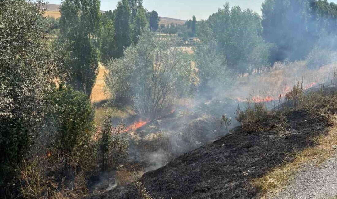 Topçu köyünde çıkan anız yangınında 10 dönüm arazi zarar gördü.