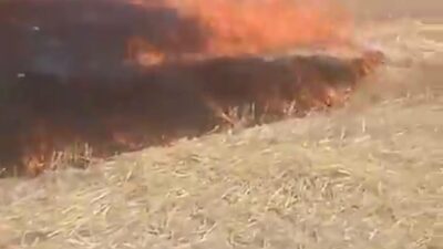 Beypazarı ilçesindeki bir tarlada çıkan anız yangını, çevredeki bağ ve