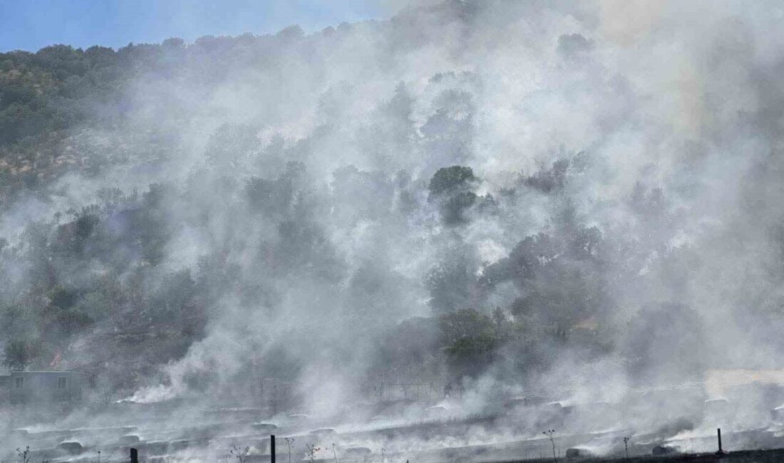 Ankara’da tarla yangını söndürüldü Ankara'nın Güdül ilçesindeki tarla