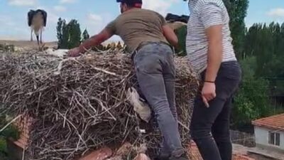 Çorum'da bir evin çatısında bulunan leylek, ayağına dolanan ip nedeniyle