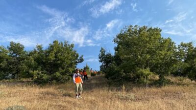 Aydıncık ilçesinde kaybolan 95 yaşındaki Alzheimer hastası Durak Ünal'ı bulmak