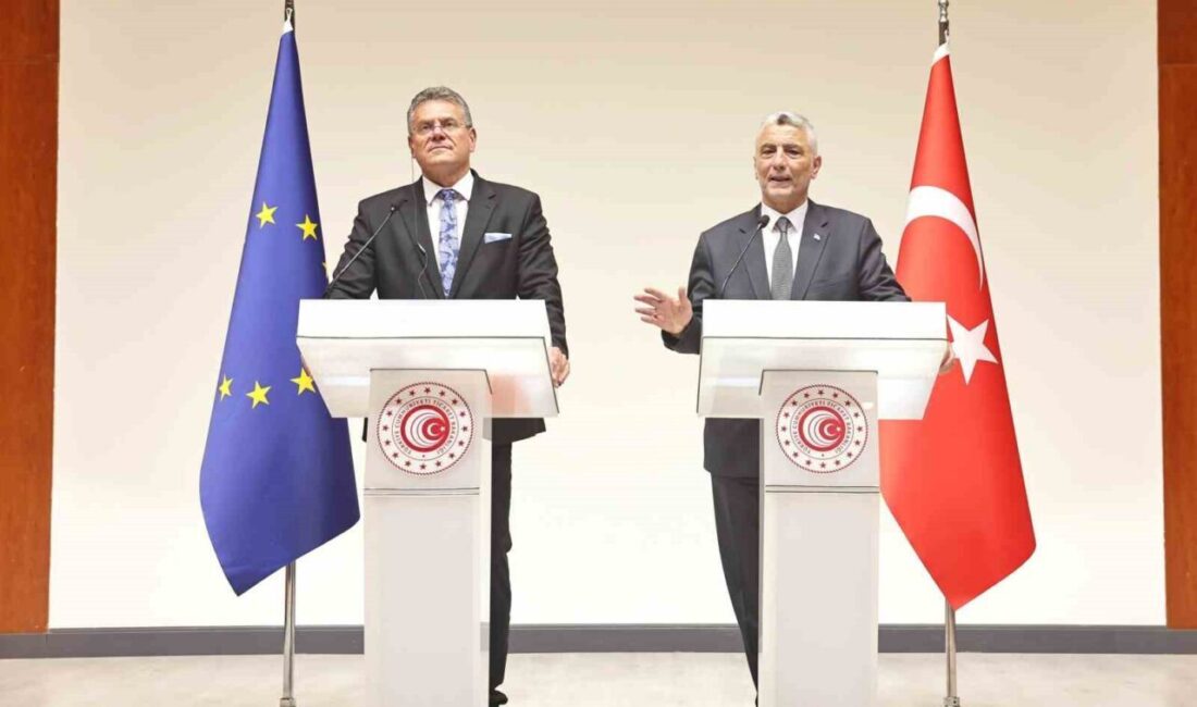 Bakan Ömer Bolat, AB-Türkiye