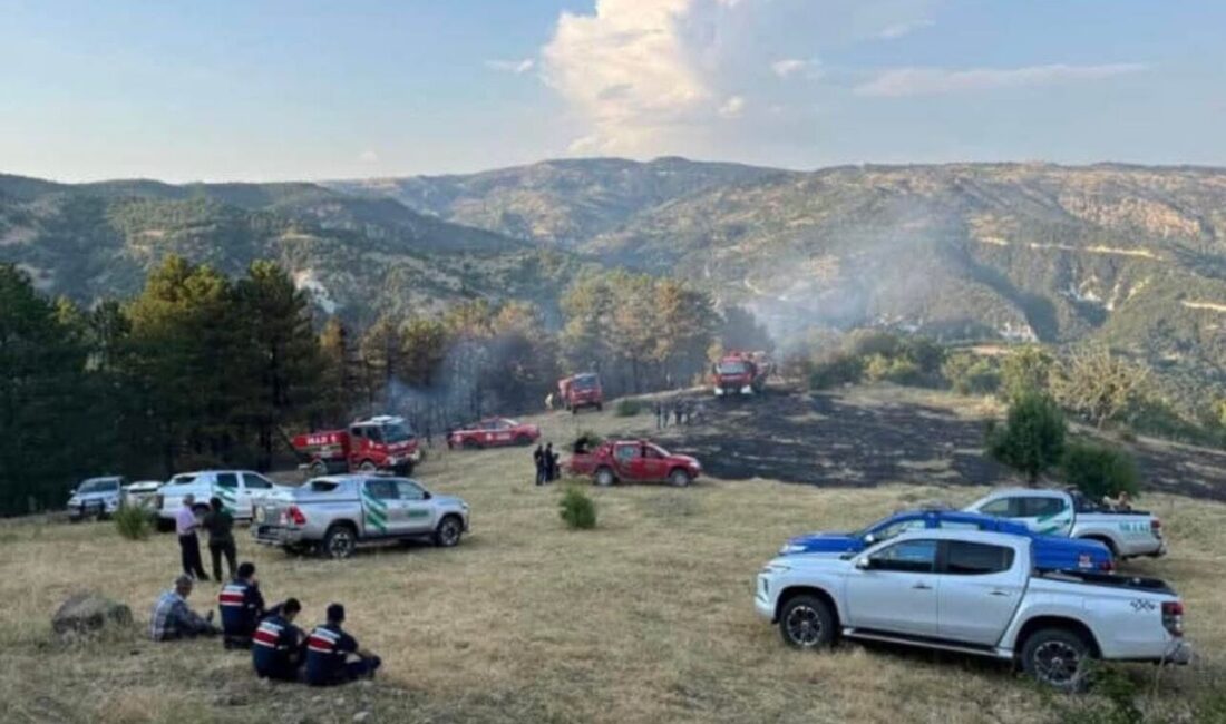 Beypazarı, Ankara'da çıkan 15 dönümlük tarım arazisindeki yangın itfaiye ekiplerince