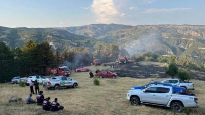Beypazarı, Ankara'da çıkan 15 dönümlük tarım arazisindeki yangın itfaiye ekiplerince
