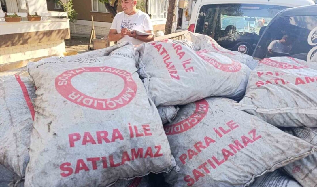 Beypazarı SYDV, 800 haneye kömür dağıtımıyla kışlık yakacak ihtiyacını gideriyor.