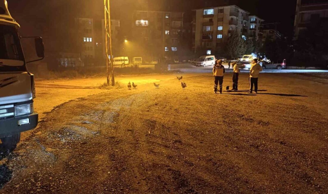 Beypazarı Hacıkara Mahallesi'nde çıkan kümeste yangında 41 tavuk telef oldu.