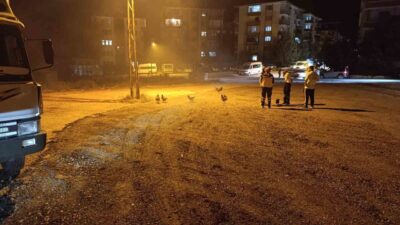 Beypazarı Hacıkara Mahallesi'nde çıkan kümeste yangında 41 tavuk telef oldu.
