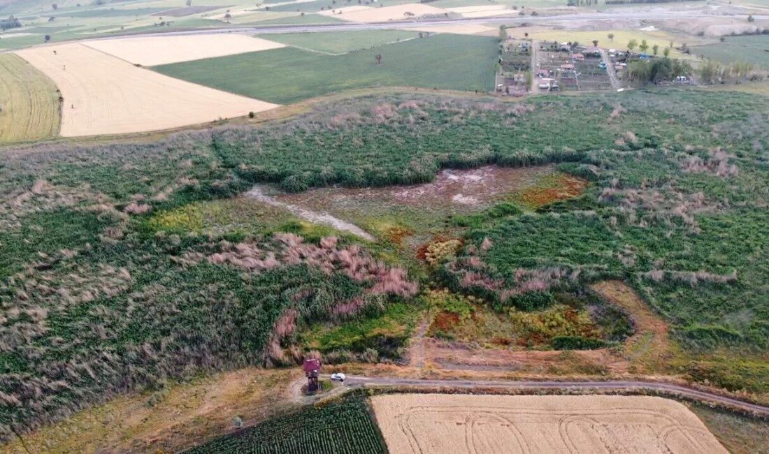 Çorum'daki Gölünyazı, kuraklık sebebiyle tamamen kurudu. Bir zamanlar kuş cenneti