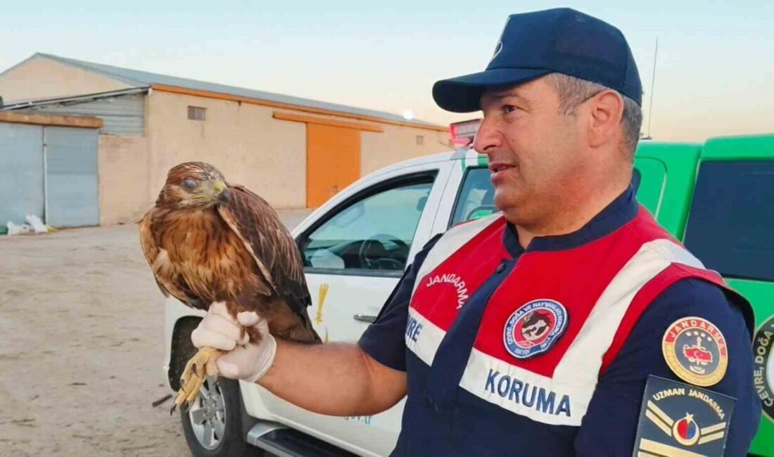 Yozgat'ın Boğazlıyan ilçesindeki Yenipazar