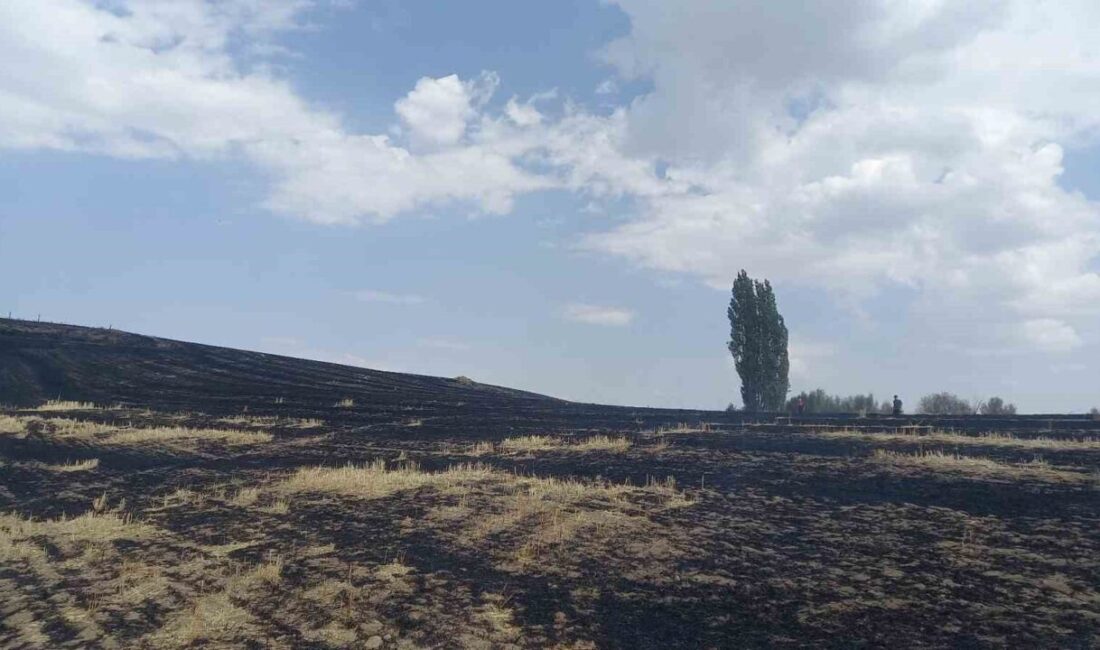 Yozgat'ta Tayıp köyünde çıkan anız yangınında 400 dönüm arazi küle