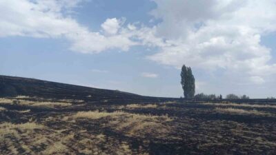 Yozgat'ta Tayıp köyünde çıkan anız yangınında 400 dönüm arazi küle