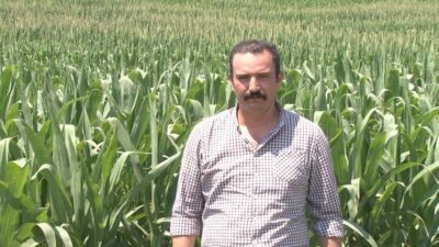 Ziraat mühendisi Kerem Güler, artan sıcaklık ve nemin pancar, soğan