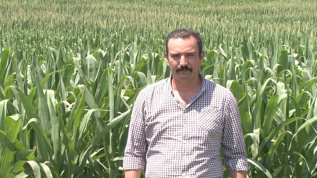 Ziraat mühendisi Kerem Güler, artan sıcaklık ve nemin pancar, soğan