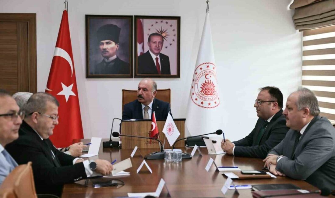 Çorum'da kurulacak olan yeni