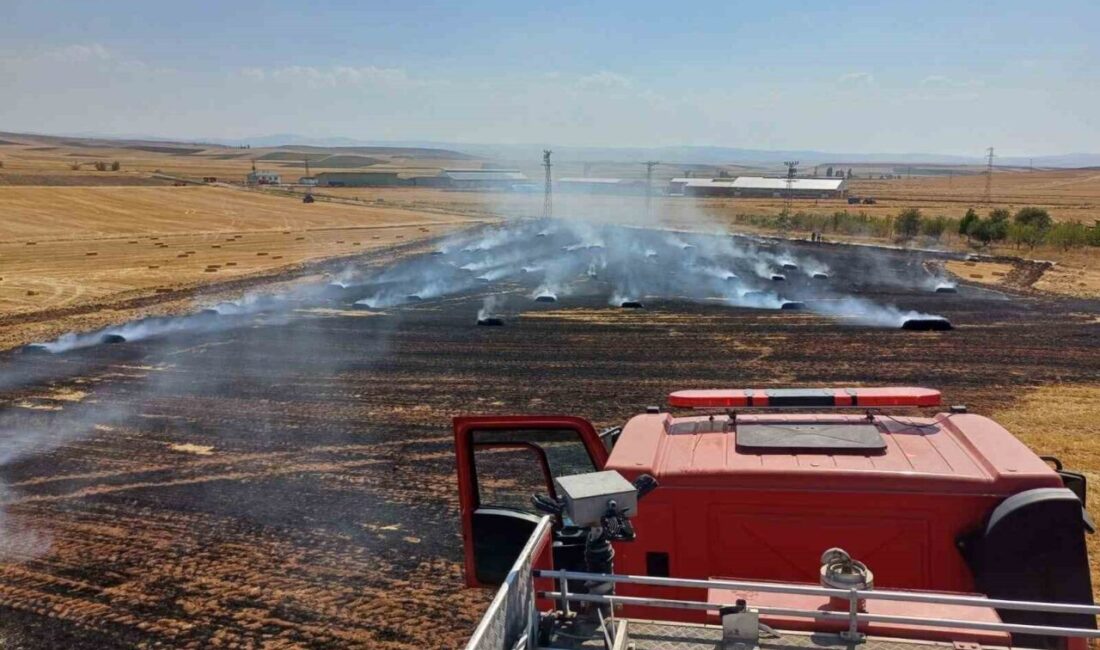 Çorum'un Alaca ilçesinde tarlada çıkan yangın sonucunda 150 balya ve