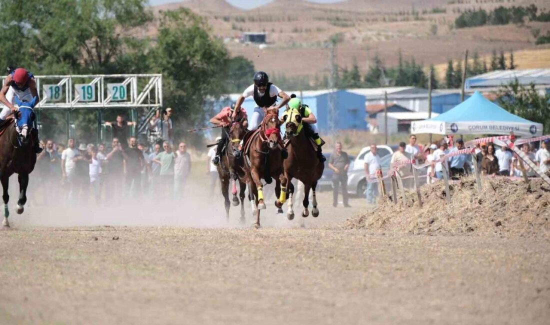 Çorum Belediyesi'nin düzenlediği at yarışları, 15 Temmuz Demokrasi ve Milli