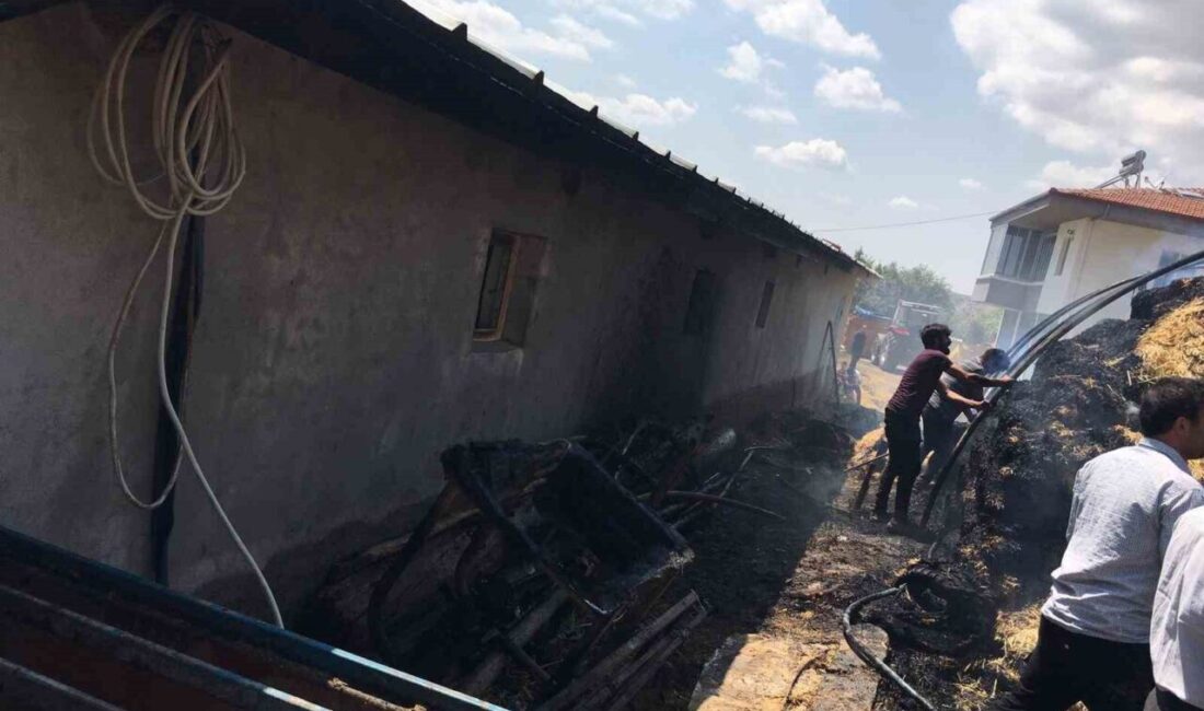 Çorum'un Sungurlu ilçesindeki yangında 550 balya ot, bir tarım aleti