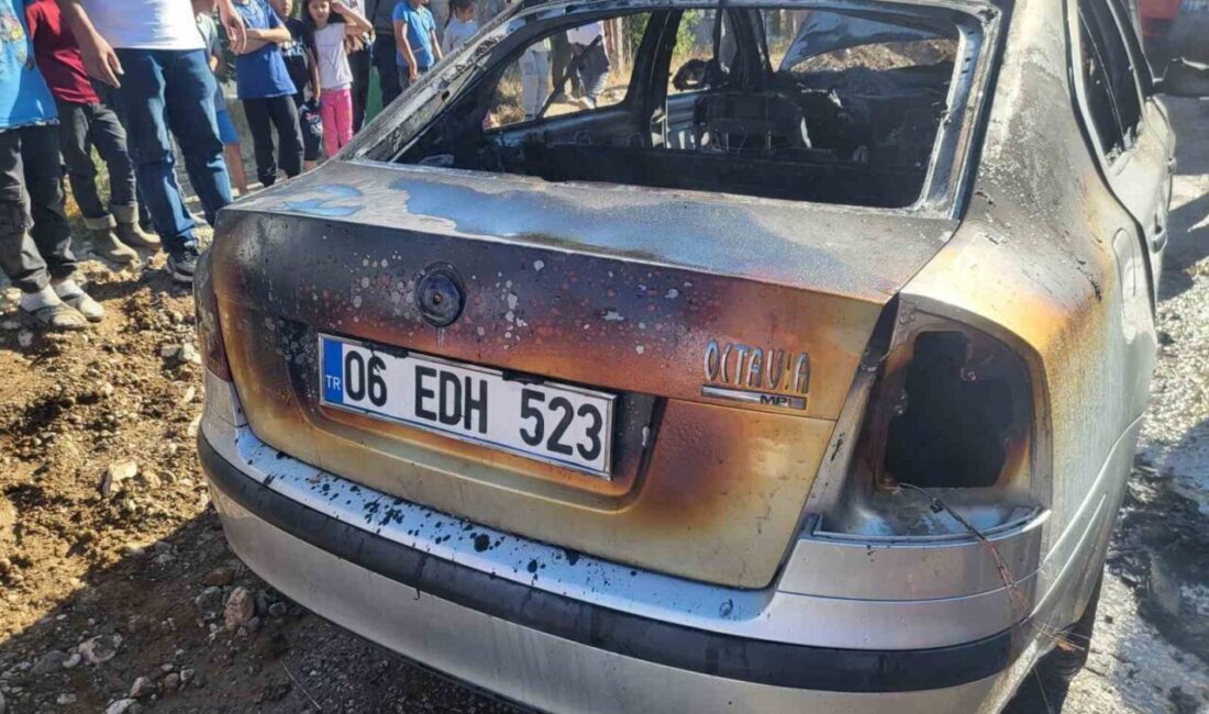 Çorum'un Sungurlu ilçesinde Aşağı Fındıklı köyü mezarlığı önünde F.D.'ye ait