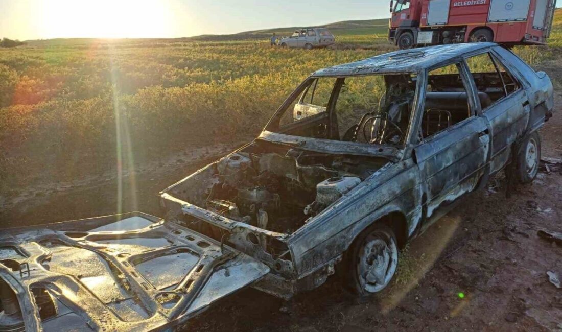 Çorum’da park halindeki otomobil yandı Çorum'un Alaca ilçesindeki Eskiyapar