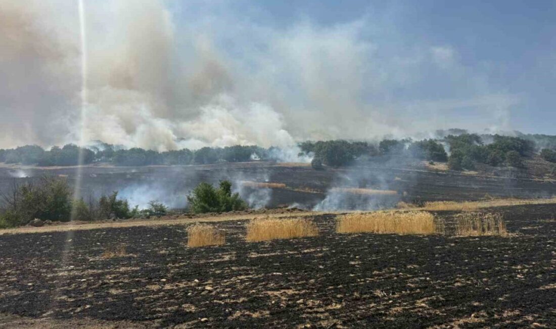 Çorum'un Sungurlu ilçesindeki Büyük Ekmekçi köyünde tarlada çıkan yangın, hızlı