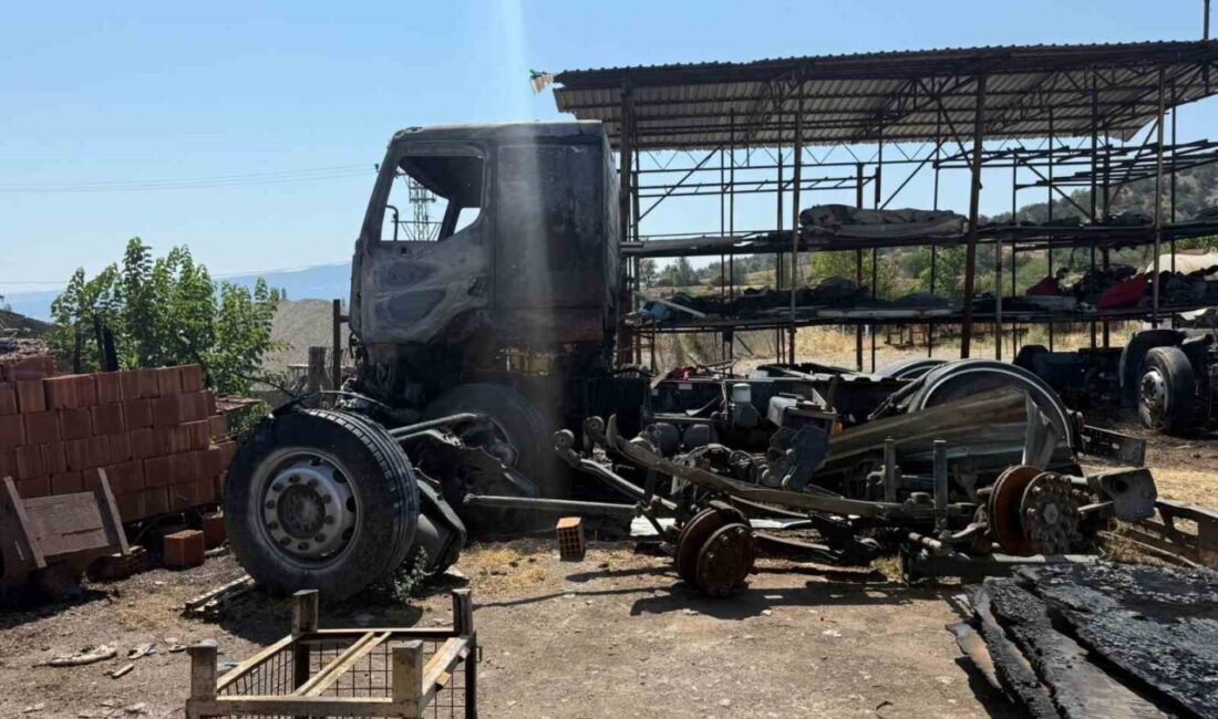 Çorum’un Osmancık ilçesinde trafonun patlaması sonucu çıkan yangında arı kovanları