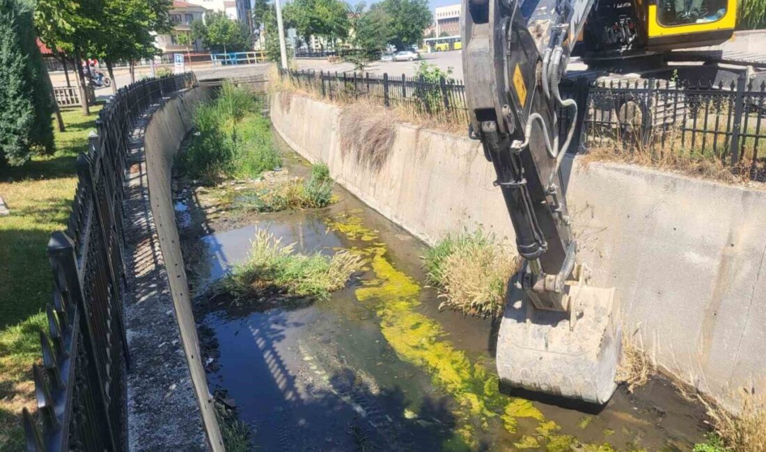 Çorum Belediyesi, şehir merkezindeki derelerde temizlik çalışmalarına yoğun bir şekilde