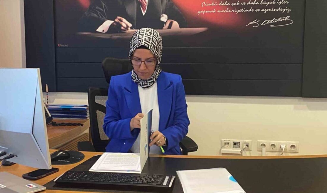 DABİS artık İŞKUR tarafından yürütülüyor. Öğrencilere kariyer danışmanlığı ve tercih