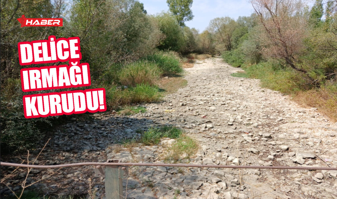 Yozgat’ın Delice Köyü sakinlerinden Ahmet Çınar, yıllardır hem geçimini sağladıkları