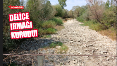 Yozgat’ın Delice Köyü sakinlerinden Ahmet Çınar, yıllardır hem geçimini sağladıkları