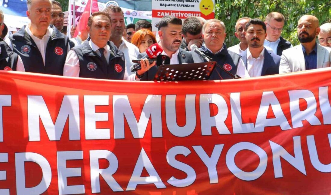 Devlet Memurları Konfederasyonu Başkanı Osman Kaya, 8. Dönem Kamu Toplu