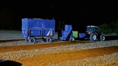 Sarıkaya ilçesinde saman dökme meselesi yüzünden çıkan silahlı kavgada muhtar