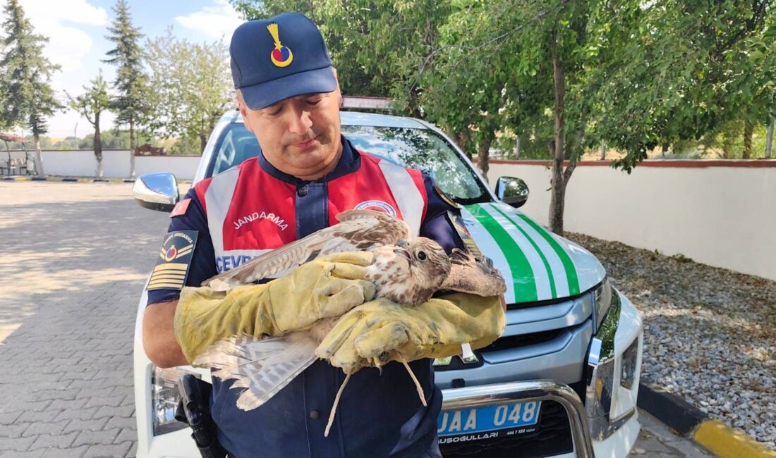 Yozgat İl Jandarma Komutanlığı Çevre, Doğa ve Hayvanları Koruma Timi