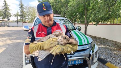 Yozgat İl Jandarma Komutanlığı Çevre, Doğa ve Hayvanları Koruma Timi