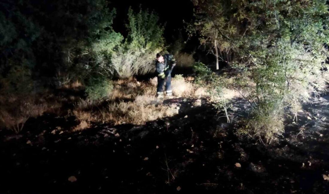 Çorum'un Osmancık ilçesinde çıkan örtü yangını, köy halkı ve ekiplerin
