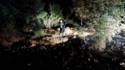 Çorum'un Osmancık ilçesinde çıkan örtü yangını, köy halkı ve ekiplerin