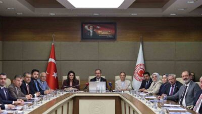 TBMM Engelli Bireylerin Sorunlarını Araştırma Komisyonu, AK Parti İzmir Milletvekili