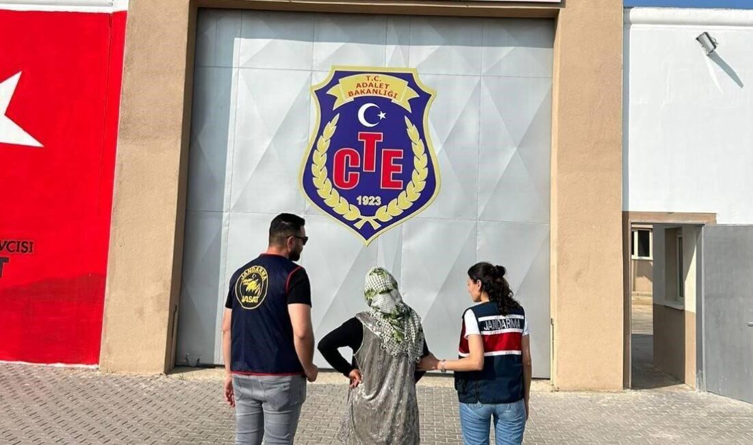 Kırşehir'de 14 farklı suç