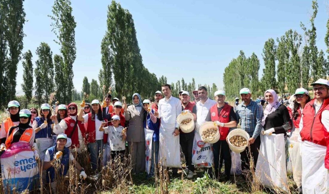 Gençlik ve Spor Bakanlığı, 'Gönüllü Hasat Etkinliği' ile gençleri tarıma
