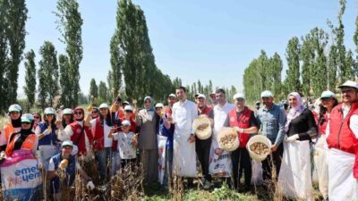 Gençlik ve Spor Bakanlığı, 'Gönüllü Hasat Etkinliği' ile gençleri tarıma