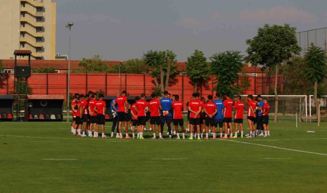 Gençlerbirliği, Süper Lig'e dönüş