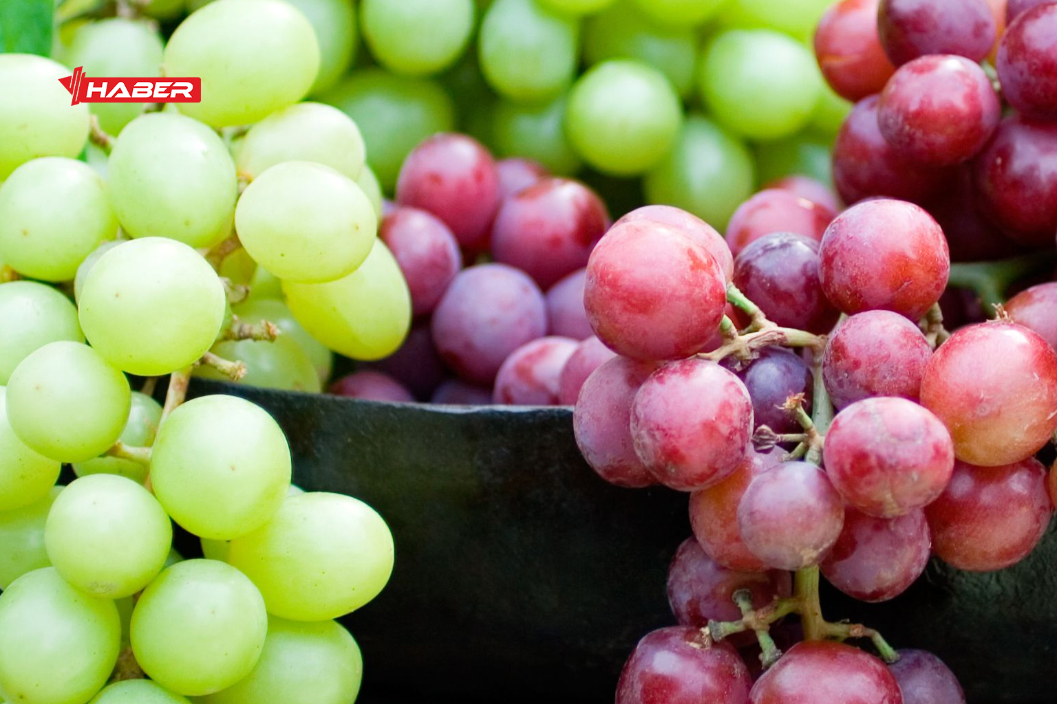 gençlik iksiri üzüm